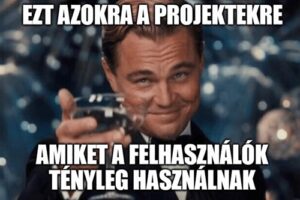 BI projektekről szóló mém egy poharat emelő férfival a felhasználói használat fontosságáról